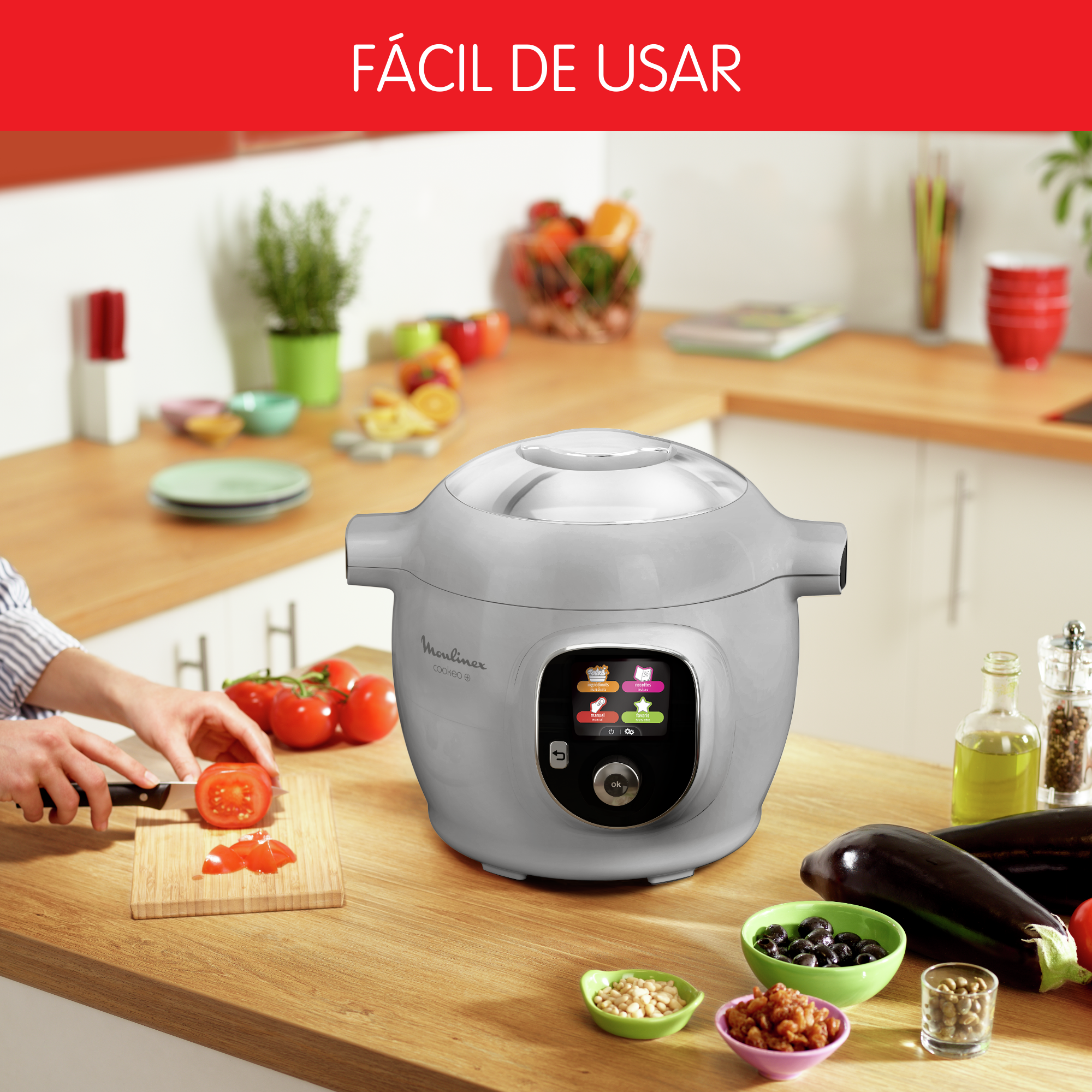 Cookeo+ Cinzenta 80 receitas