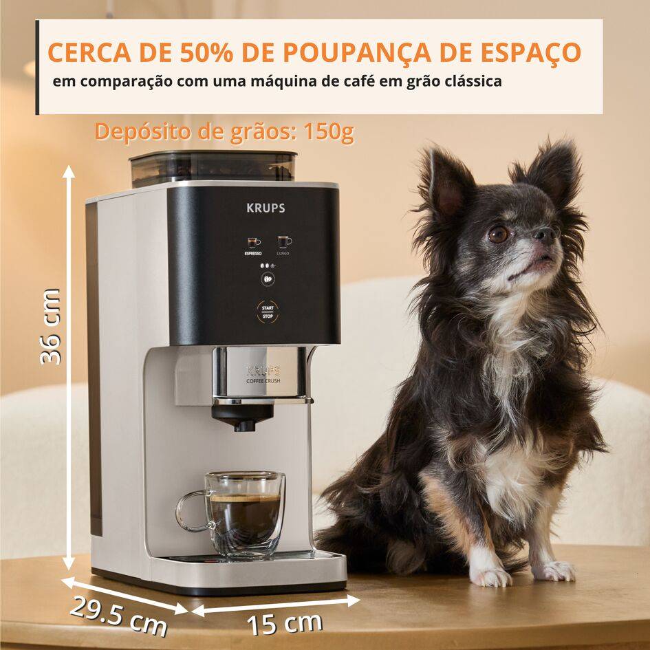 Coffee Crush Ivory 