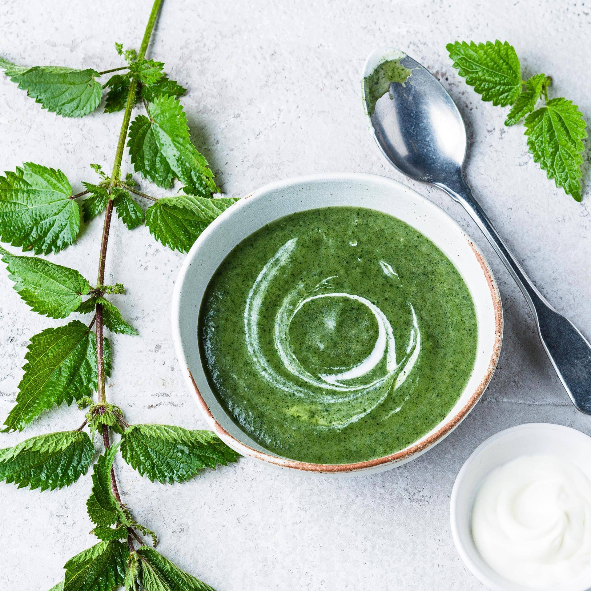 Sopa de urtigas - Receita Cookeo | Moulinex