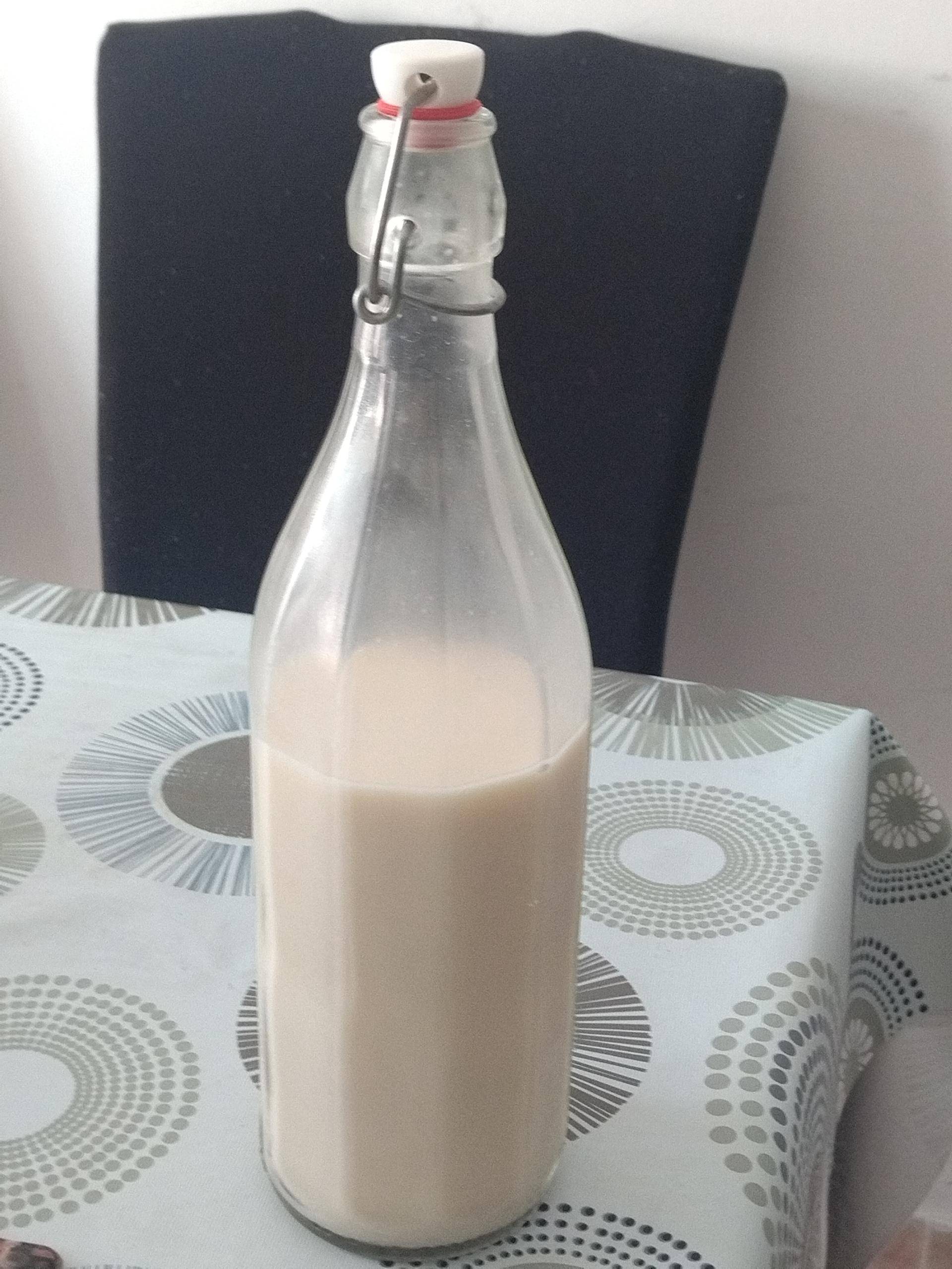 Bebida vegetal de aveia - Receita Companion Connect | Moulinex