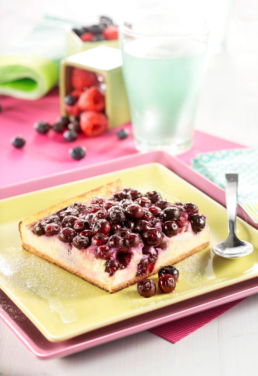 Cheesecake de mirtilo - Receita OptiGrill + | Moulinex