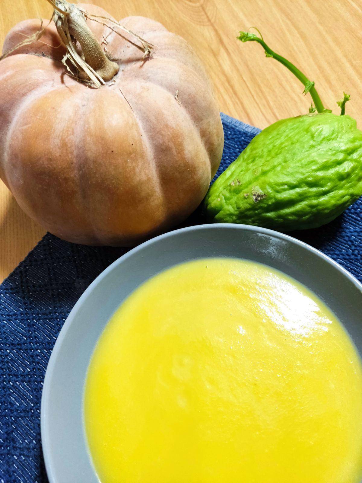 Sopa de Chuchu e Abóbora - Receita Companion Connect | Moulinex