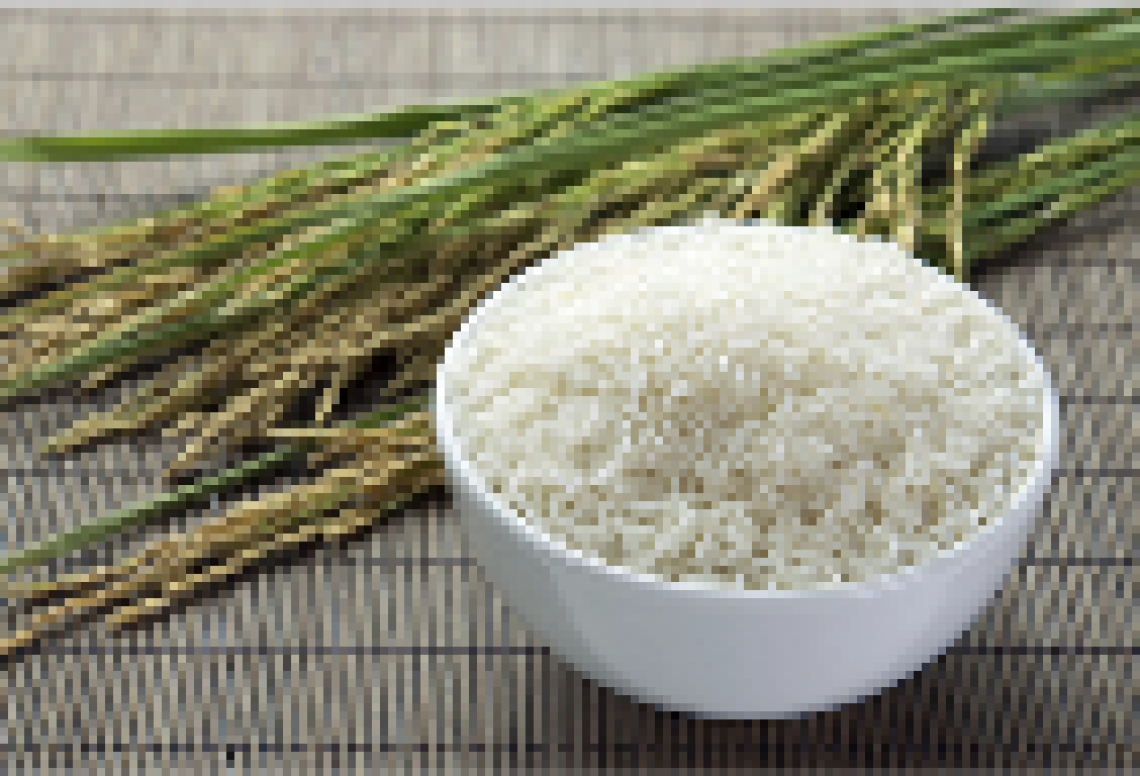 Arroz - Receita Companion XL | Moulinex