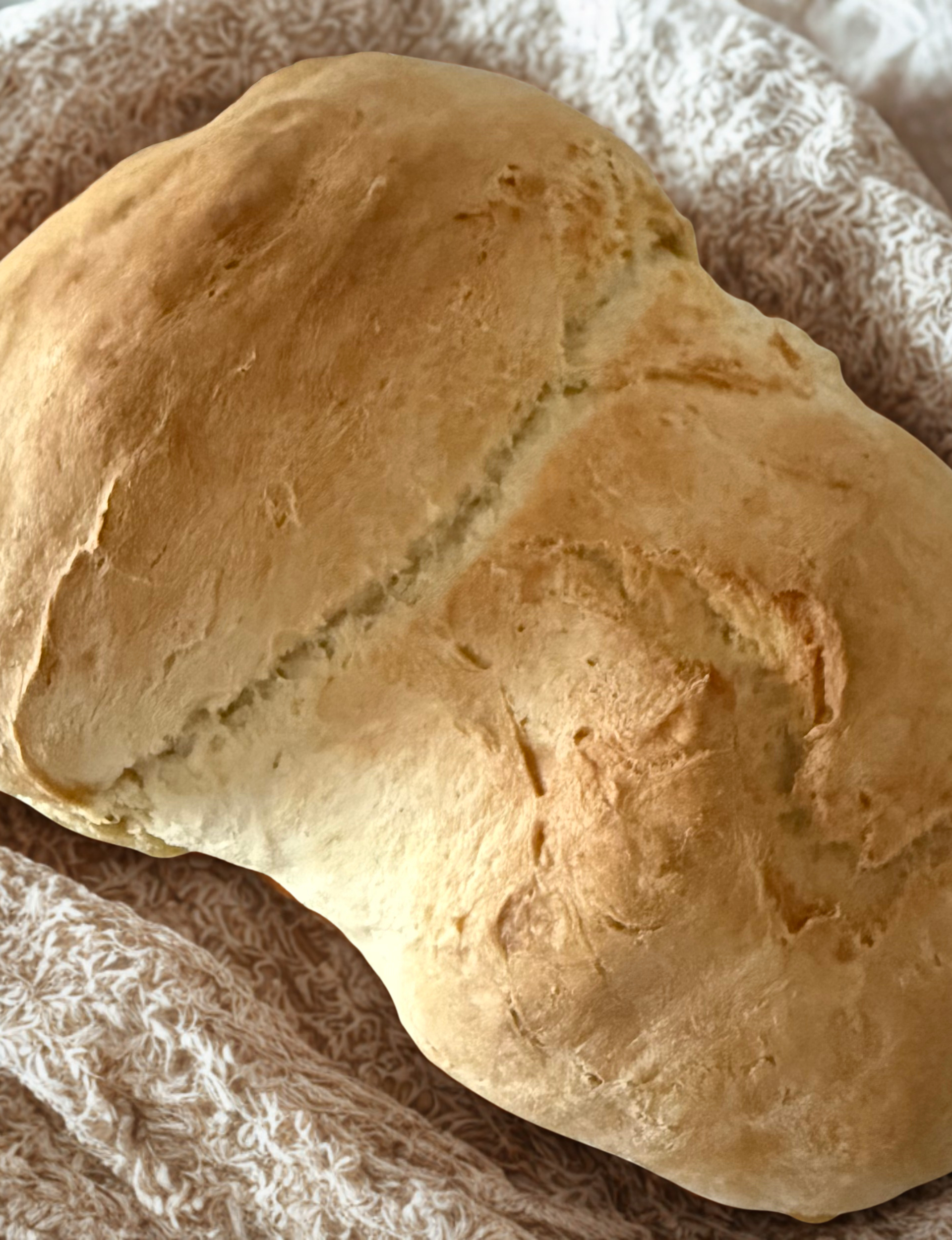 Pão fácil sem amassar - Receita Easy Fry Mega | Moulinex