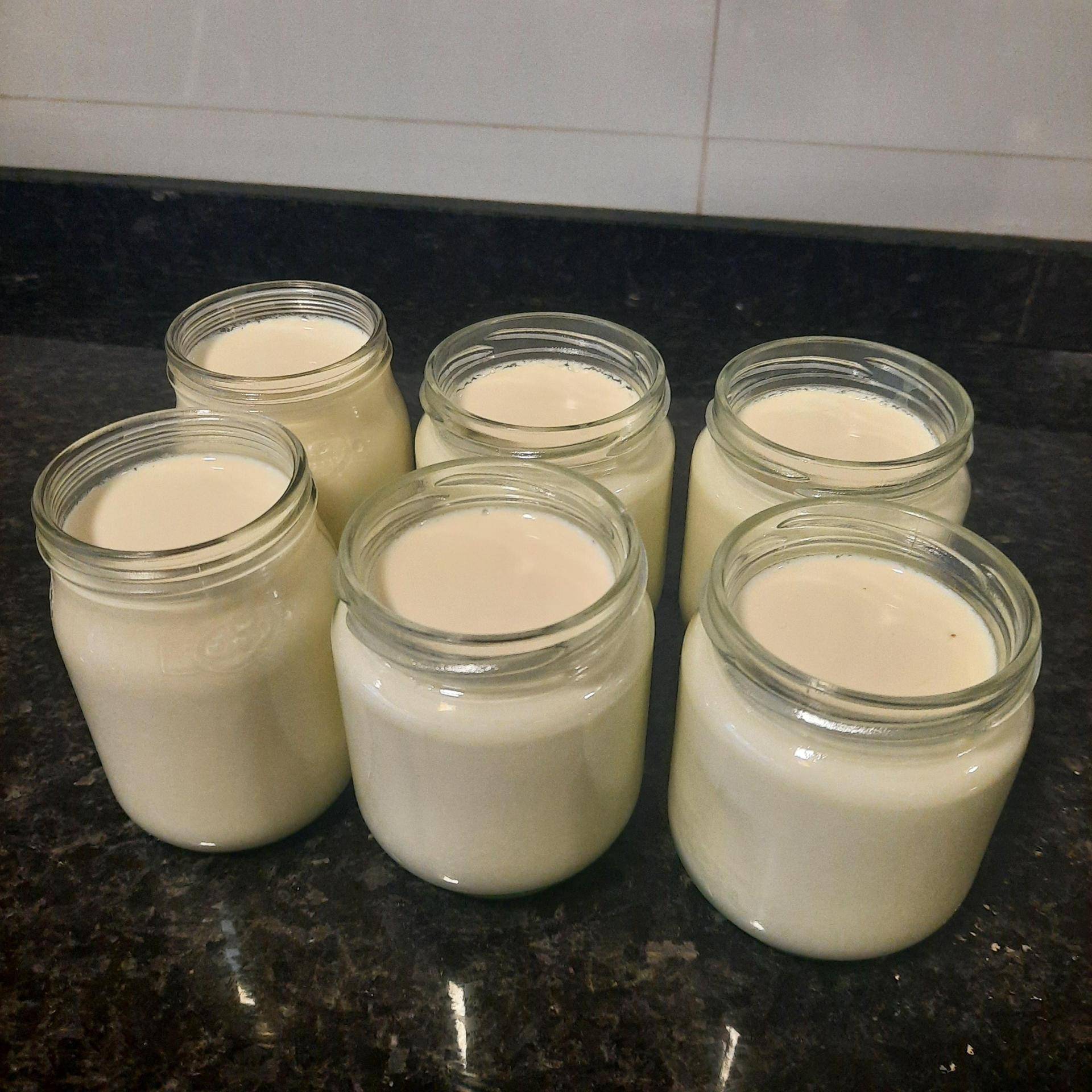 Iogurte Cremoso com Aroma a Baunilha - Receita Companion Connect | Moulinex