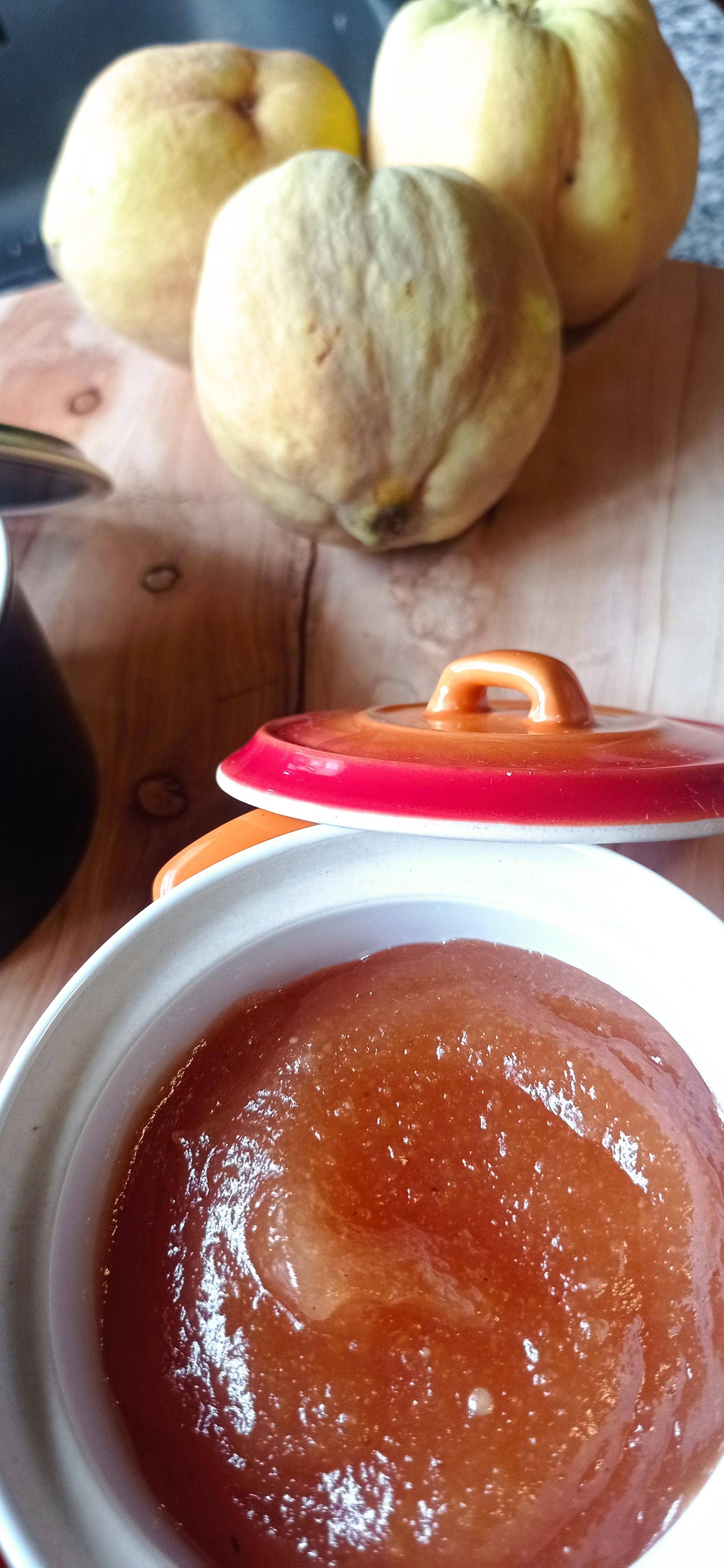 Marmelada - Receita Companion Connect XL | Moulinex