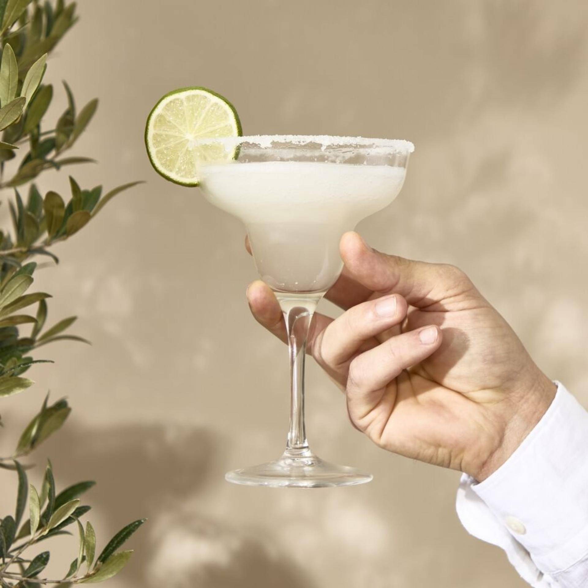 Frozen Margarita - Receita Freezi | Moulinex