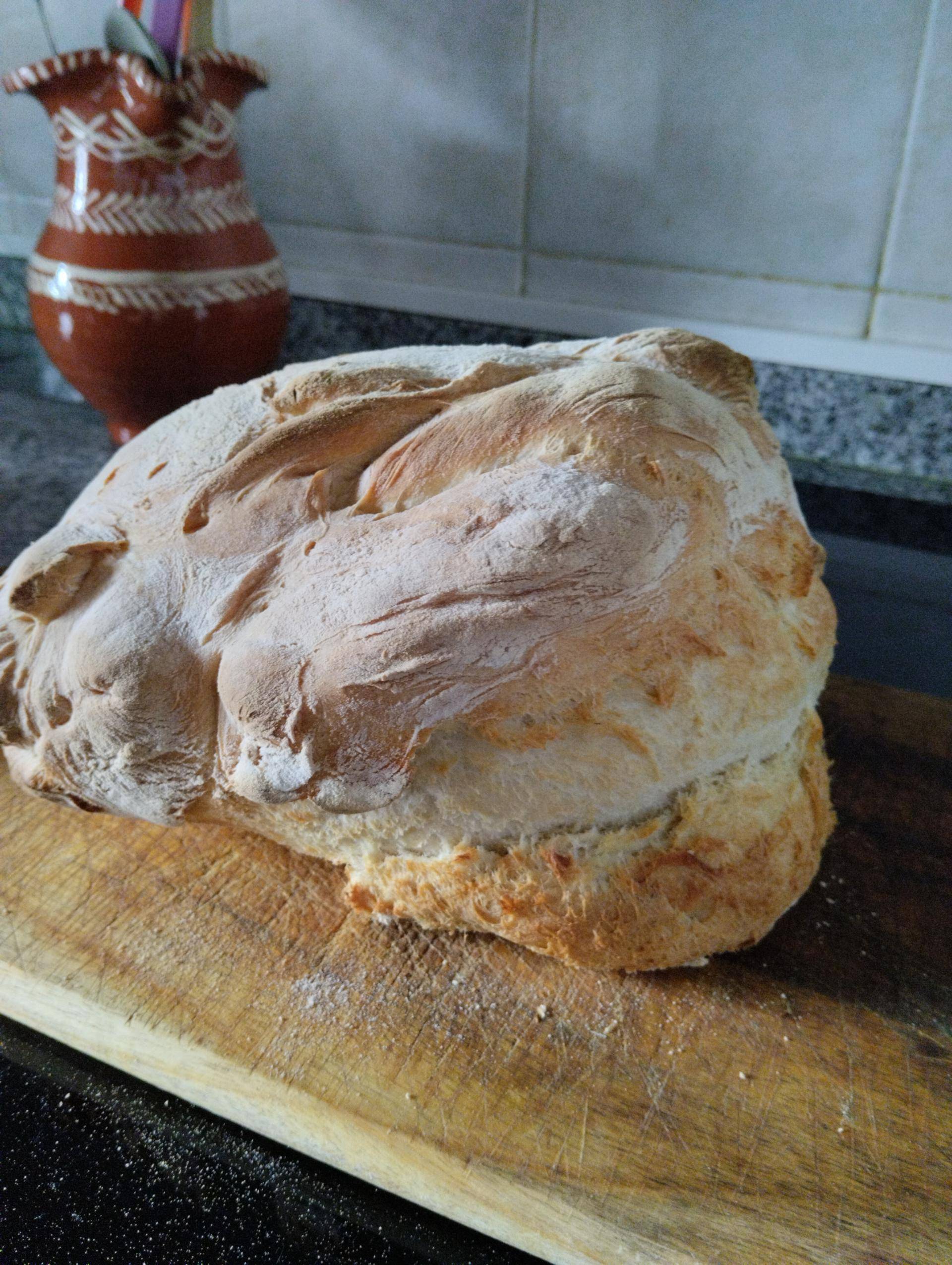 Pão caseiro - Receita Companion Connect | Moulinex